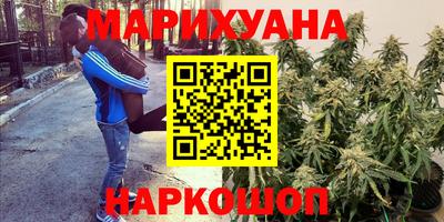 ешки Партизанск