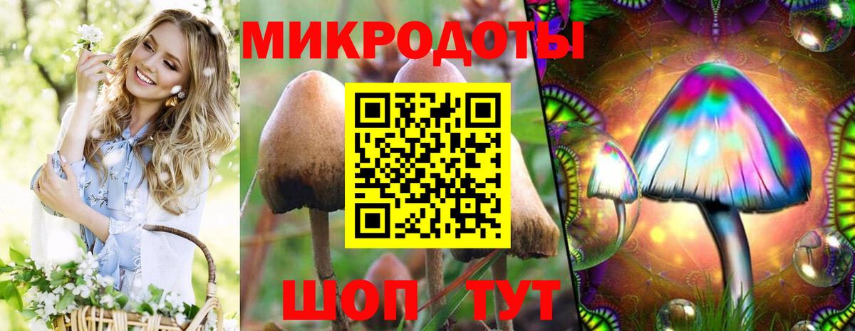 Галлюциногенные грибы GOLDEN TEACHER  Вход с VPN  Семилуки 